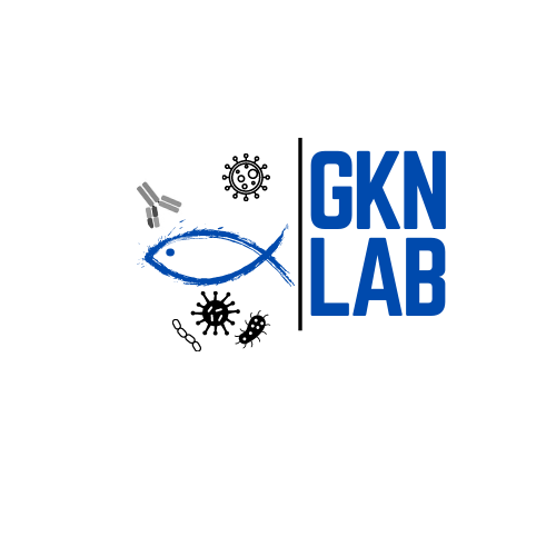 GKN Lab